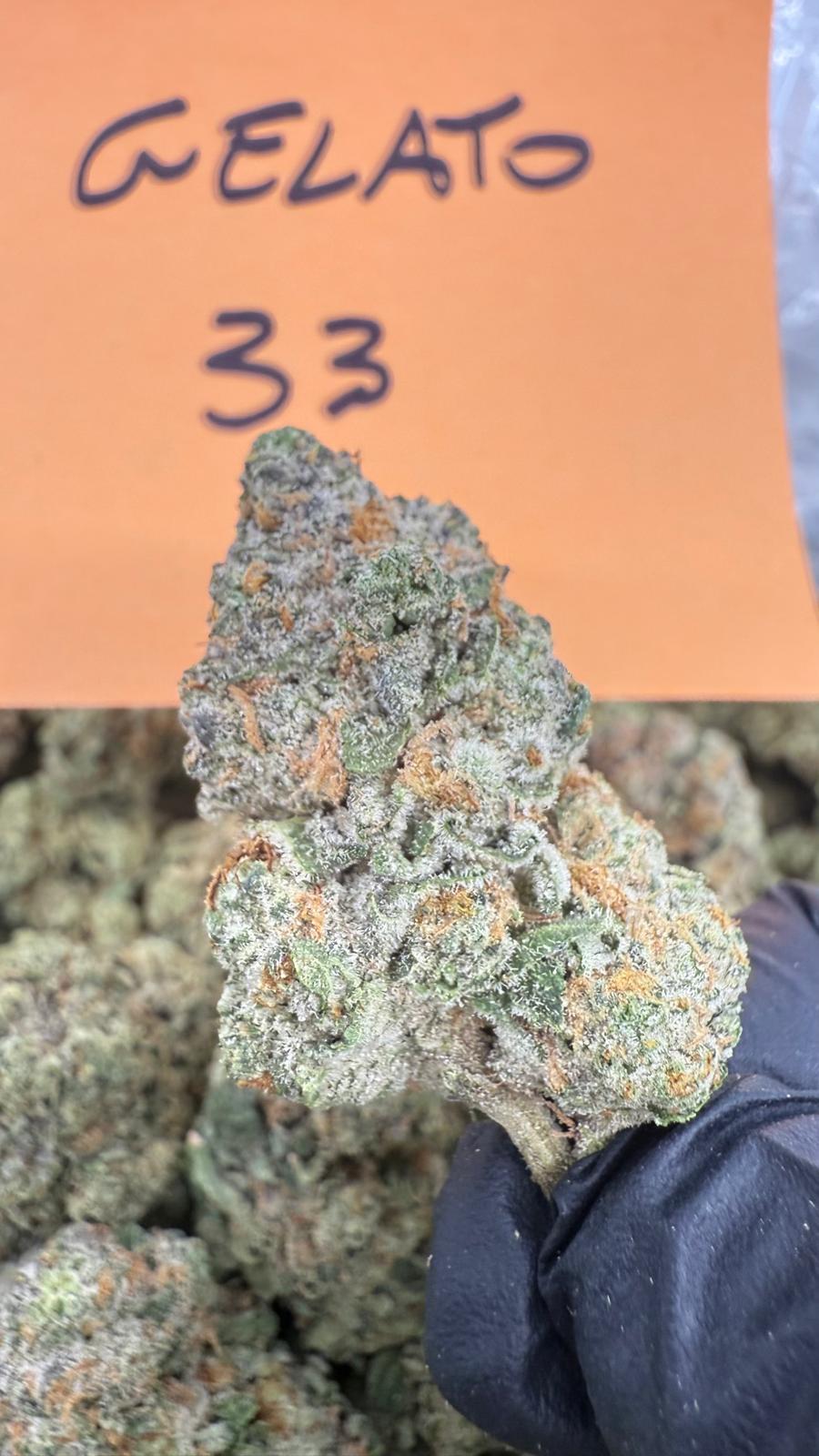 Gelato 33