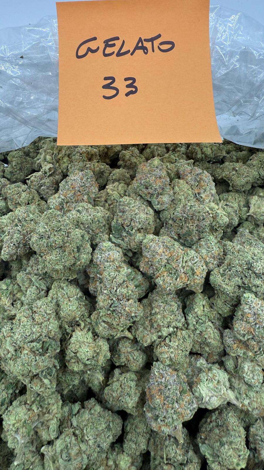 Gelato 33
