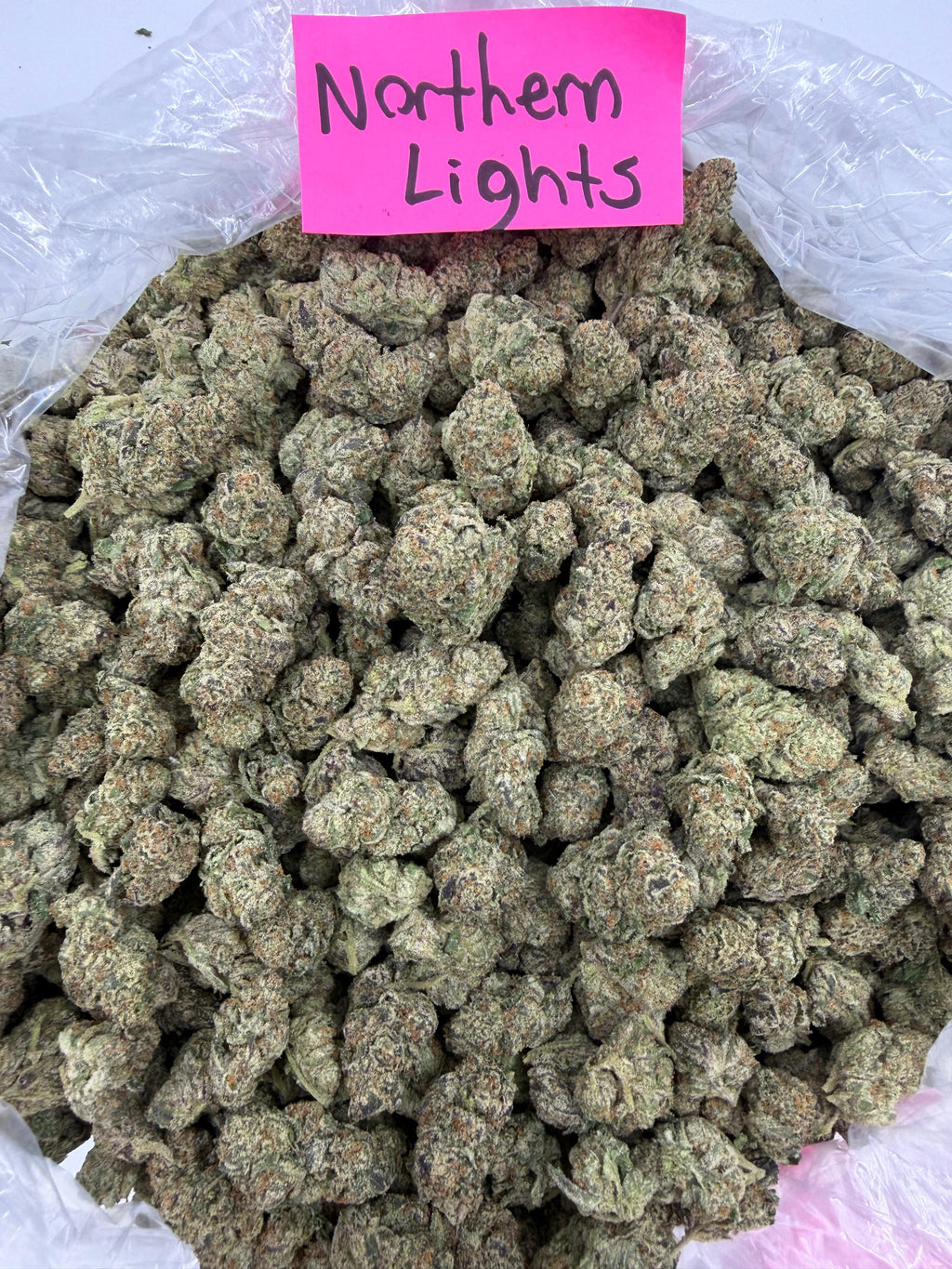 Northern Lights