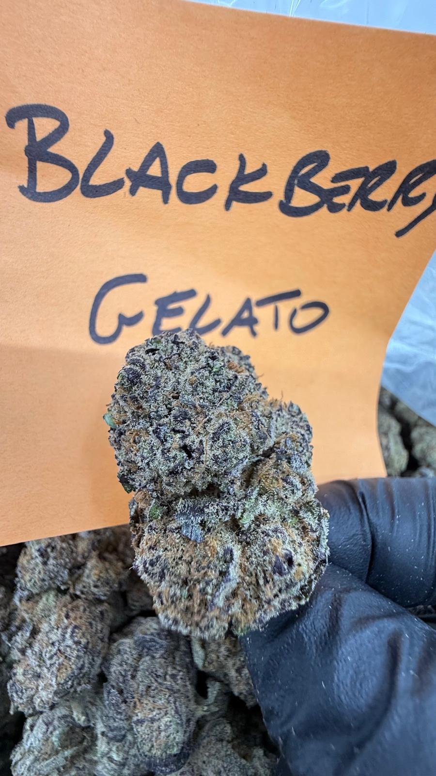 BlackBerry Gelato