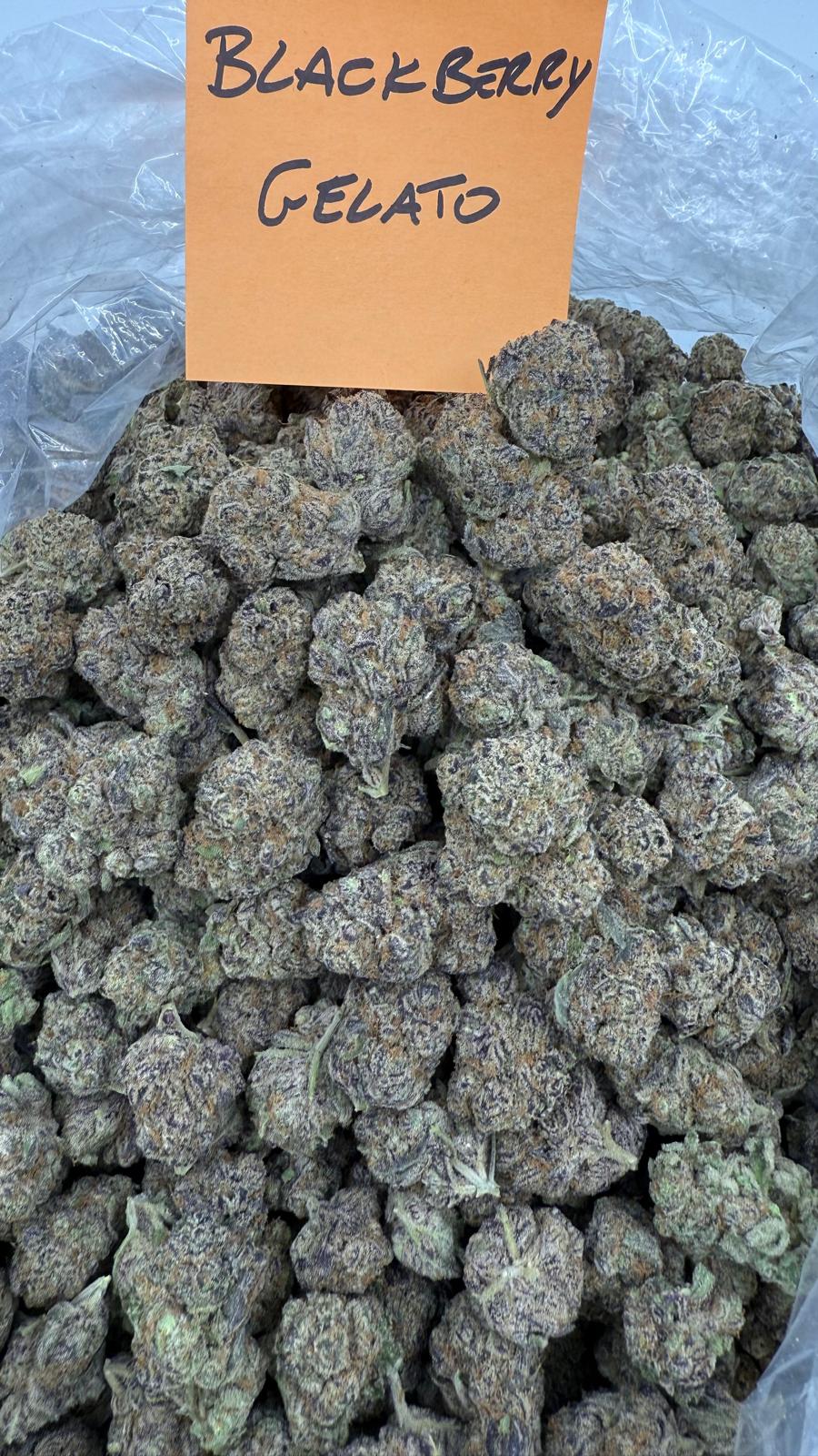 BlackBerry Gelato